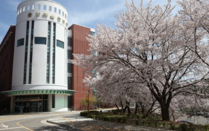 김포대 대학일자리센터, ‘엑셀·PPT·포토샵’ 기초특강 비대면 시행